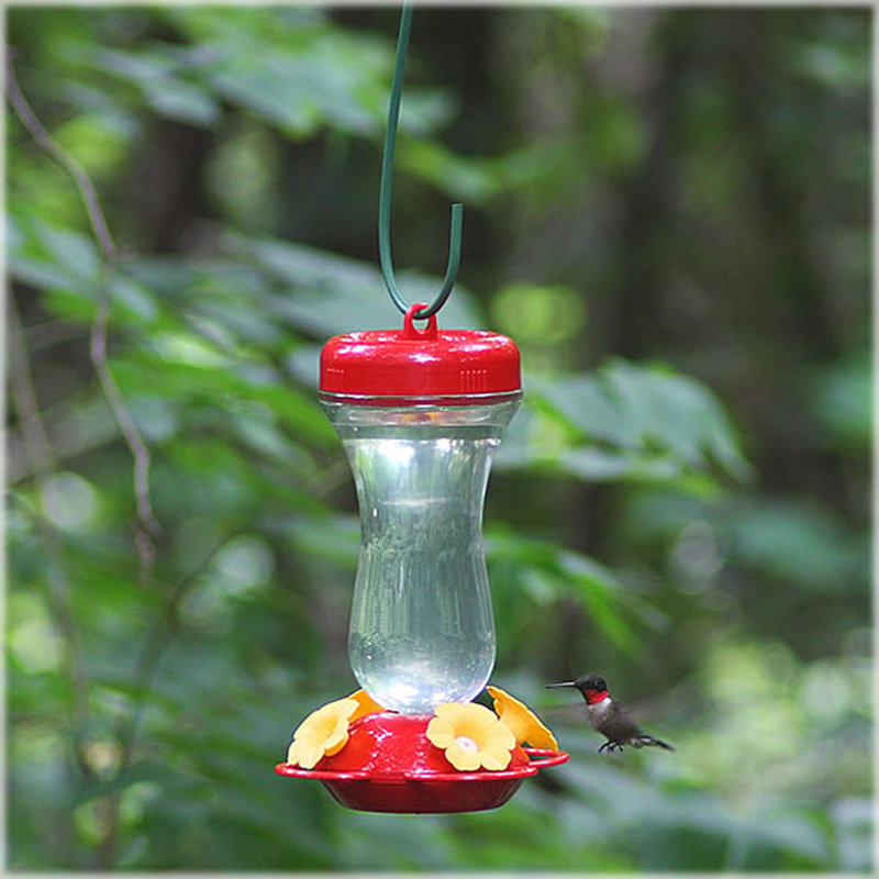 Perky Pet Top Fill Hummingbird Feeder & Reviews Wayfair